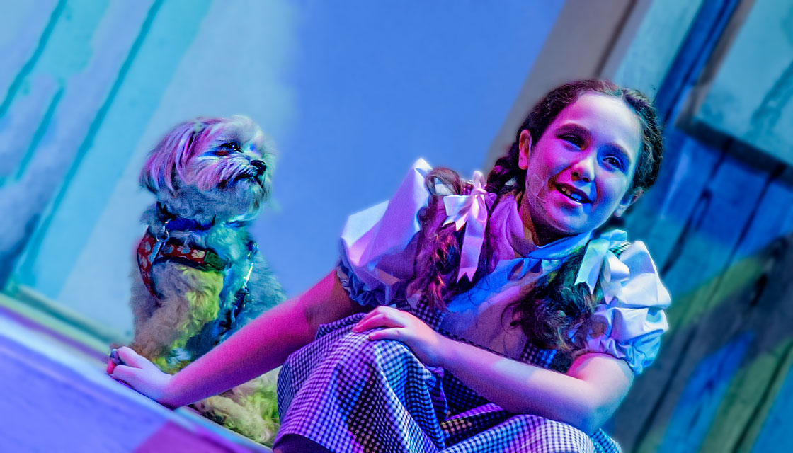 The Wizard of Oz - May 2014